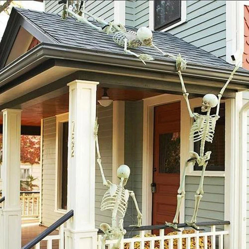 Esqueleto Humanoide Decorativo 💀